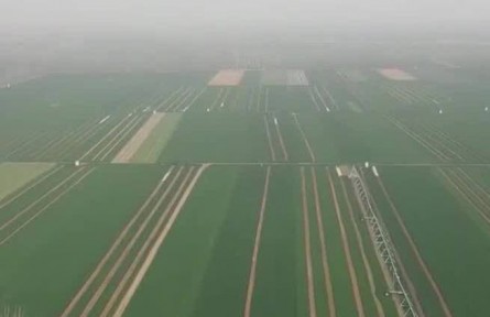 【奮進(jìn)新征程 建功新時(shí)代·偉大變革】夯實(shí)大國(guó)糧倉(cāng)根基