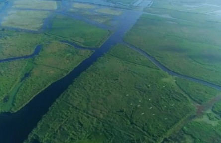 世界水日：持續(xù)開展“碧水保衛(wèi)戰(zhàn)” 保護(hù)水生態(tài)環(huán)境