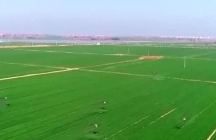 多措并舉 確保春耕農(nóng)資供應(yīng)