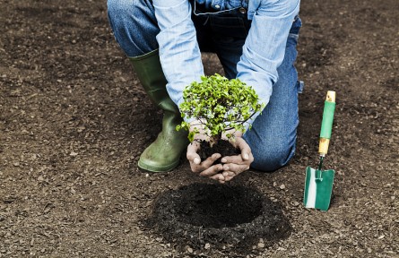 科技名詞 | 氣候敏感性 climatic sensitivity