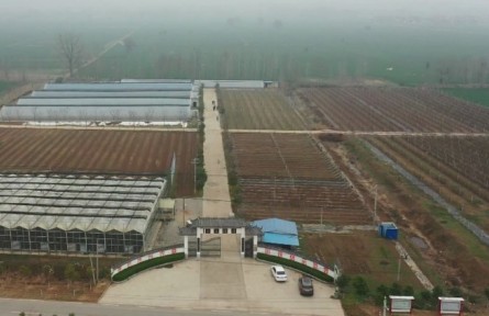 河南：特色農(nóng)業(yè)持續(xù)發(fā)力 助推鄉(xiāng)村振興“加速跑”