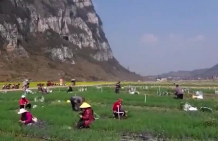 【奮進新征程 建功新時代·偉大變革】民生無小事 枝葉總關(guān)情