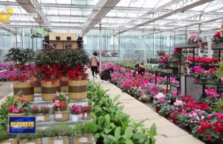 山東：鄉(xiāng)村小手藝 創(chuàng)造大財(cái)富