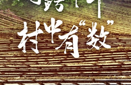網(wǎng)跨千年，村中有“數(shù)”——“數(shù)字鄉(xiāng)村”賦能西部發(fā)展觀察