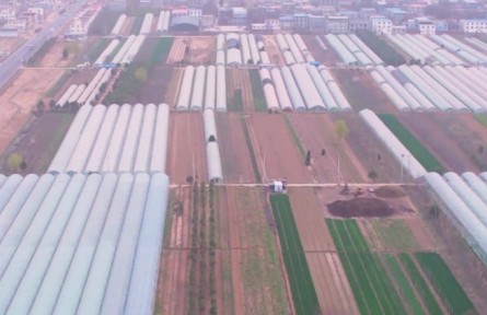 河南滎陽：大棚里用上新科技 智慧農(nóng)業(yè)促進(jìn)鄉(xiāng)村振興?