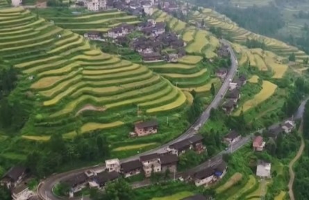 鞏固脫貧成果 銜接鄉(xiāng)村振興 發(fā)揮體制優(yōu)勢 支持鄉(xiāng)村振興重點幫扶縣