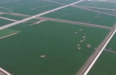 科技助力春耕 筑牢糧食豐收基礎(chǔ)