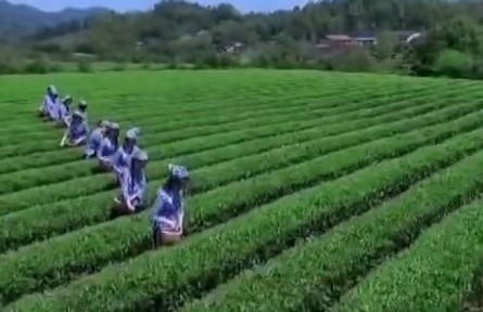 枝葉總關(guān)情 湖南織牢織密民生兜底保障網(wǎng)