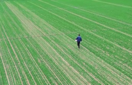 陜西：提升農(nóng)業(yè)技術(shù)含量 帶動(dòng)糧食增產(chǎn)增收