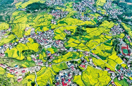 《求是》雜志編輯部：做好新發(fā)展階段“三農(nóng)”工作的行動(dòng)綱領(lǐng)