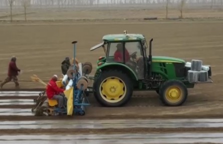 關注棉花生產 科技助力春耕 全國棉花整地播種陸續(xù)展開