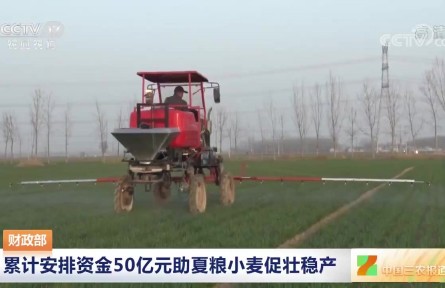 財(cái)政部：累計(jì)安排資金50億元助夏糧小麥促壯穩(wěn)產(chǎn)