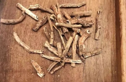 健康問(wèn)答 | 怎樣煎中藥、喝中藥才能獲得好藥效？