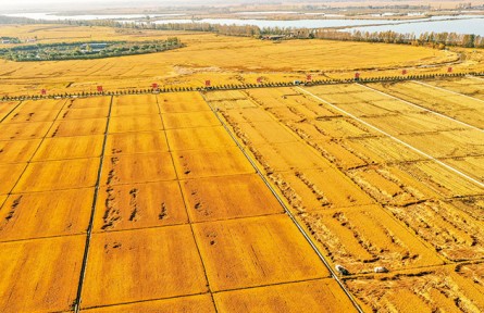 《求是》雜志編輯部：做好新發(fā)展階段“三農(nóng)”工作的行動綱領(lǐng)