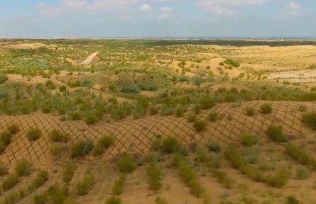 我國防沙治沙取得成效 沙塵天氣減少減弱