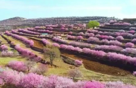 大美中國（2022年4月2日）