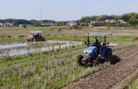 湖南長沙：春光好 農(nóng)事忙 科技助育秧