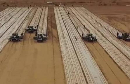 新疆：棉花開播 “干播濕出”技術節(jié)水增產