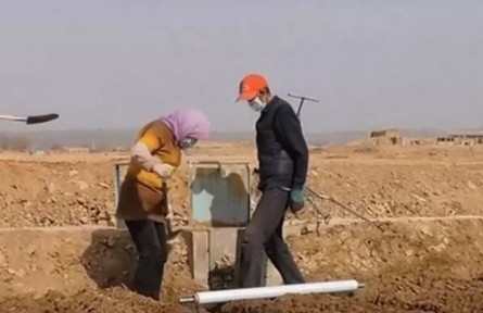 甘肅：下好春耕生產(chǎn)“先手棋” 筑牢糧食安全“壓艙石”