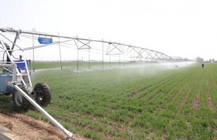 山東省東營市廣饒縣李鵲鎮(zhèn)：在希望的田野上奏響發(fā)展之歌