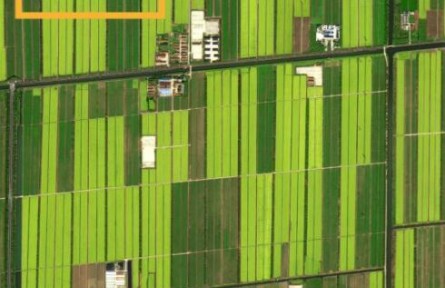 春的浪漫，“太空攝影師”帶你感受“詩(shī)和遠(yuǎn)方”