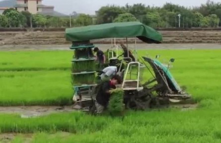 農(nóng)業(yè)農(nóng)村部：全國(guó)春管春播順利推進(jìn)