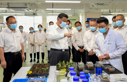 習(xí)近平：只有攥緊中國種子，才能端穩(wěn)中國飯碗