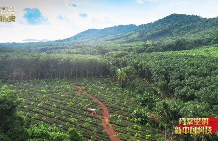 檔案里的新中國(guó)科技：為祖國(guó)尋找橡膠種植區(qū)