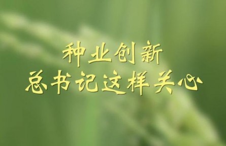 種業(yè)創(chuàng)新，總書記這樣關(guān)心