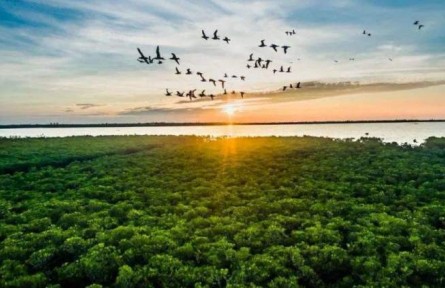 海南：牢記重要囑托 提升治理能力 加快建設(shè)國家生態(tài)文明試驗區(qū)