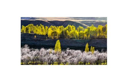 《大美中國(guó)·家國(guó)清明》甘肅