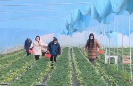 甘肅天水：激活鄉(xiāng)村振興新動能 助力群眾持續(xù)增收?