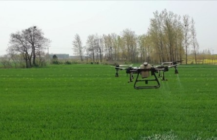 河南許昌：無人機統(tǒng)防統(tǒng)治 確保夏糧豐產豐收