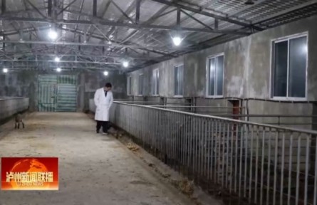 四川古藺張?chǎng)蔚溃簬椭迕裰赂坏摹把颉睂＜?></a></td>
<td align=