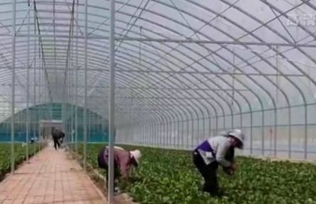 寧夏：搶抓農(nóng)時(shí)生產(chǎn)忙