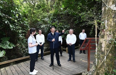 習(xí)近平：森林是水庫、錢庫、糧庫，現(xiàn)在應(yīng)該再加上一個“碳庫”