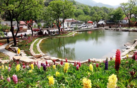 山東省威海市：實(shí)施七項(xiàng)行動(dòng) 建設(shè)精致化城鄉(xiāng)融合發(fā)展先行區(qū)