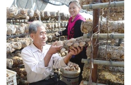 天津：結(jié)對(duì)幫扶 花開(kāi)幸福