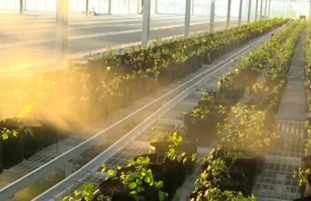 貴州：大數(shù)據(jù)技術(shù)進(jìn)村入戶 為鄉(xiāng)村振興添智提質(zhì)