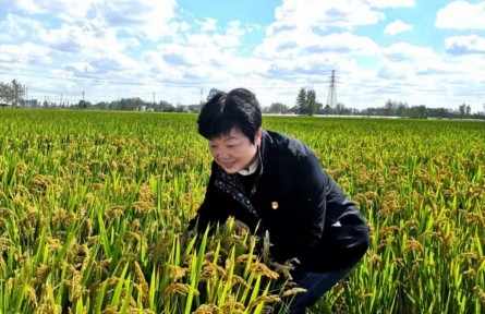 秦光蔚：把“鹽堿灘”變成“米糧倉(cāng)”的“土壤醫(yī)生”