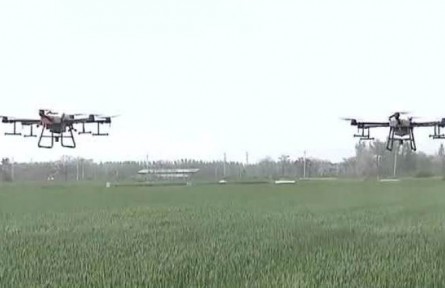 安徽亳州：防治小麥赤霉病 確保豐產(chǎn)豐收