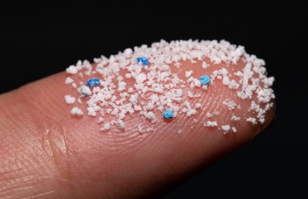 被界定為新污染物 微塑料對人體健康有哪些危害？