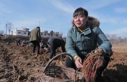 “80后”博士閻巖：用科技助力中藥產(chǎn)業(yè)發(fā)展