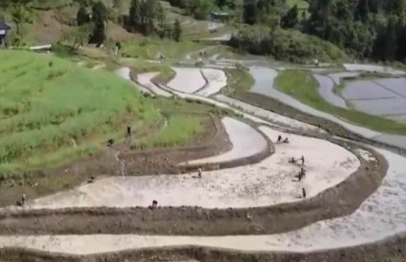 重慶黔江：機(jī)械化作業(yè) 高山梯田開犁忙
