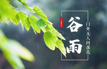 谷雨，門外無人問落花