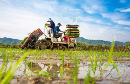 疫情挑戰(zhàn)下，如何抓好抓牢“米袋子”“菜籃子”？