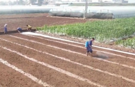 云南：聚焦主業(yè)保春耕 備足農(nóng)資促增產(chǎn)