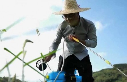 水稻栽培師李建武：扎根稻田 做一?！昂梅N子”