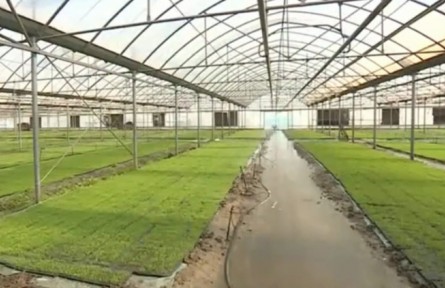 遼寧：搶抓農(nóng)時(shí) 加速推進(jìn)春耕生產(chǎn)