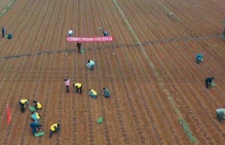 云南各地春耕生產(chǎn)有序推進(jìn)